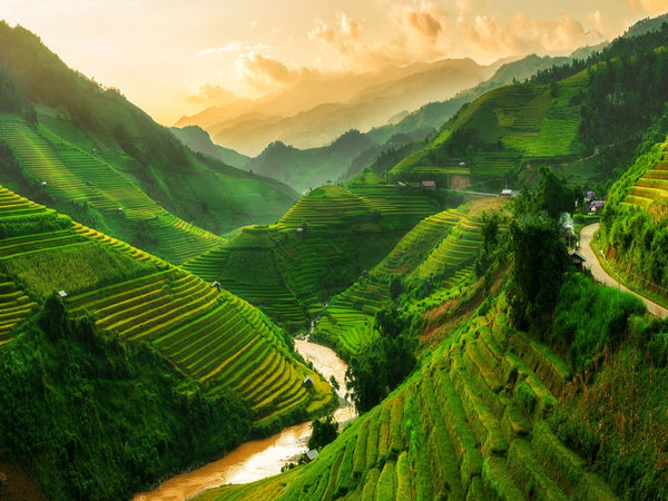 Lạc lối giữa mùa hoa xuân